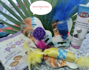 Pasqua gatto regalo !!!