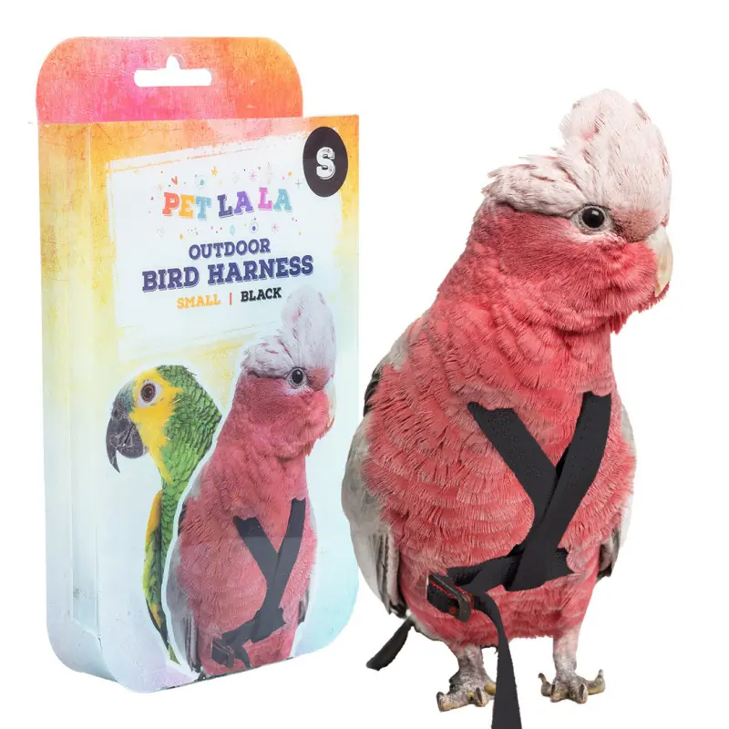 bird-harness-small-da-peso-190-420gr