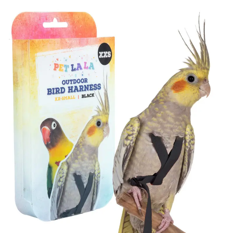 petlala-bird-harness-xx-small-da-peso-75-110gr